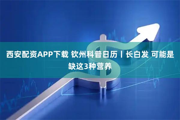 西安配资APP下载 钦州科普日历丨长白发 可能是缺这3种营养