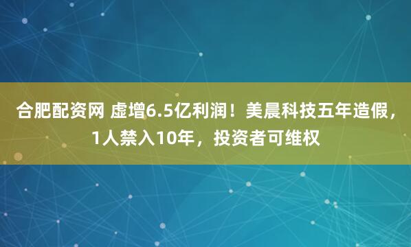 合肥配资网 虚增6.5亿利润！美晨科技五年造假，1人禁入10年，投资者可维权
